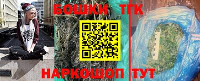 крисы Пенза