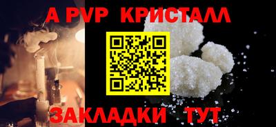 крисы Пенза