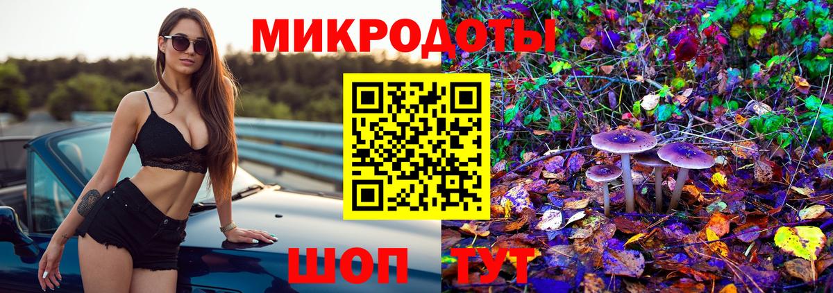 Сочи  Псилоцибиновые грибы Cubensis  Вход с VPN 