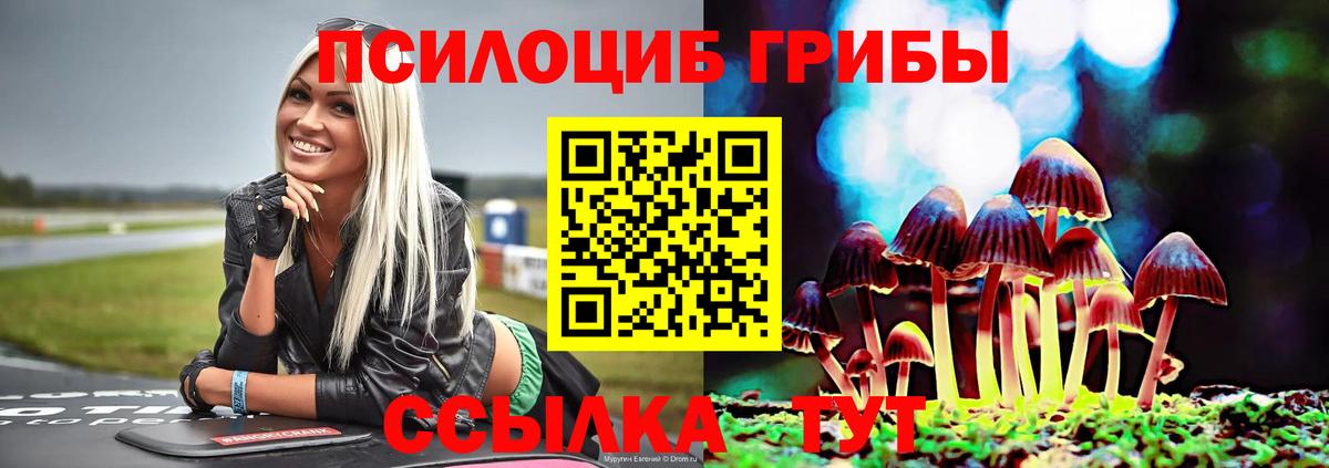 Псилоцибиновые грибы Cubensis Сочи